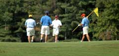 People playing golf